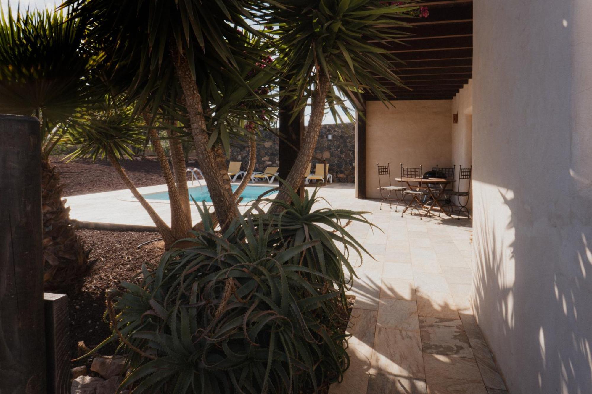 Villa Upupa La Oliva Esterno foto