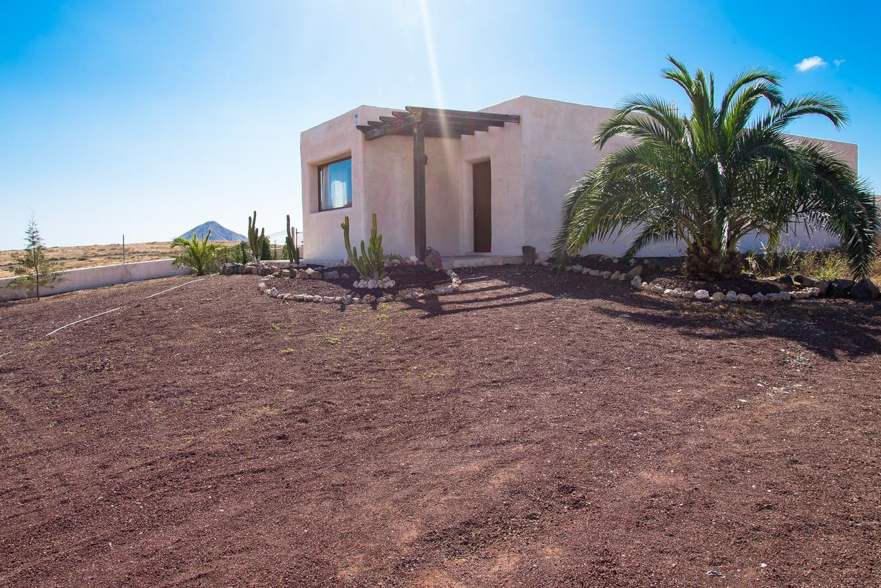 Villa Upupa La Oliva Esterno foto