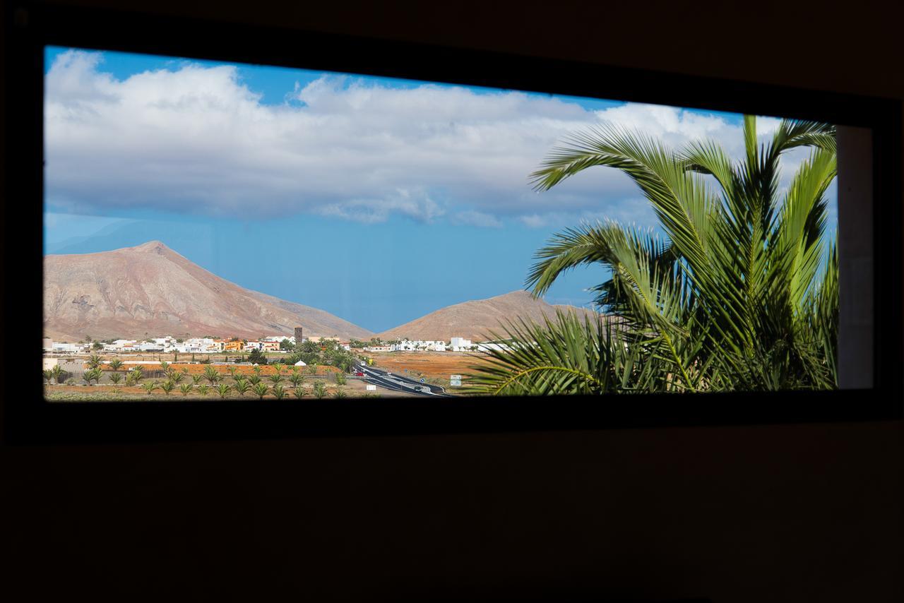 Villa Upupa La Oliva Esterno foto